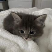 секс знакомства в г Томск