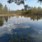 секс знакомства в г Нижний Новгород