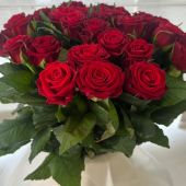 секс знакомства в г Ростов-на-Дону